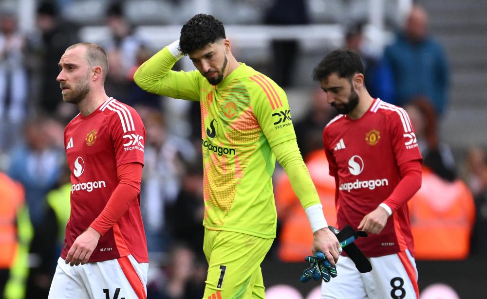 内的敏锐嗅 内的敏锐嗅